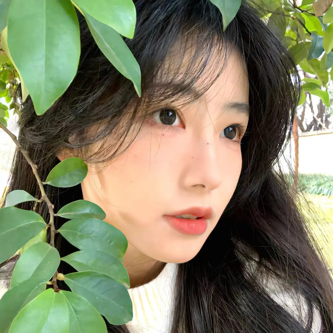 泡芙小姐第一季